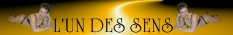 L'UN DES SENS